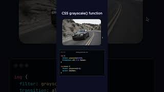 CSS grayscale function #css #styling #design #images #development #programming #progress #code