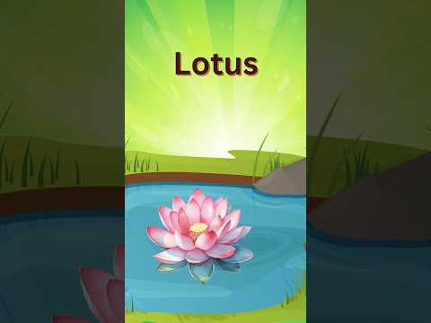 Flower Names in English for Kids | Learn Flowrr names  with Fun #flowers #flowernames