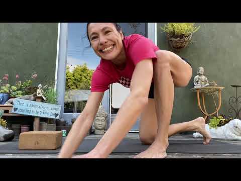 Hip Openers & Eka Pada Sirsasana and Dvi Pada Sirsasana; Virabhadrasana 2 & Eka Pada Rajakapotasana.