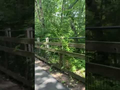3 minutes of hiking a waterfall trail ASMR
