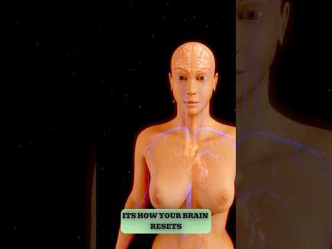 What Happens to Your Body If You Never Sleep? 😳 #mindblowingfacts #sciencefacts #scienceshorts