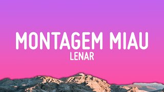 Montagem Miau (Letra/Lyrics)