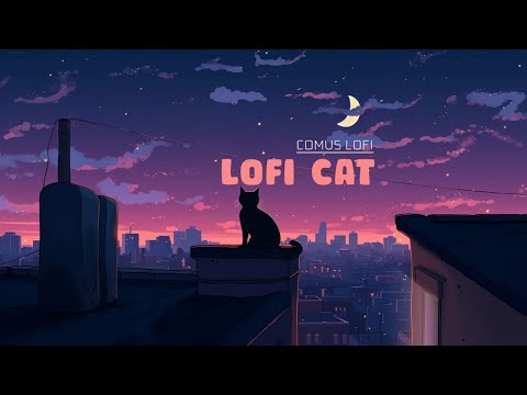Lofi cat 🎶🎶 | chill beats to relax/study to