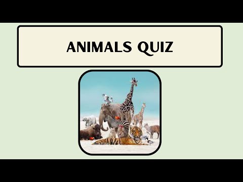 ANIMALS TRIVIA QUIZ - Test you knowledge of all things animal!