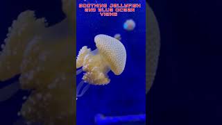 Soothing Jellyfish and Blue Ocean Views with Calming Background Music #jellyfish #nature #underwater