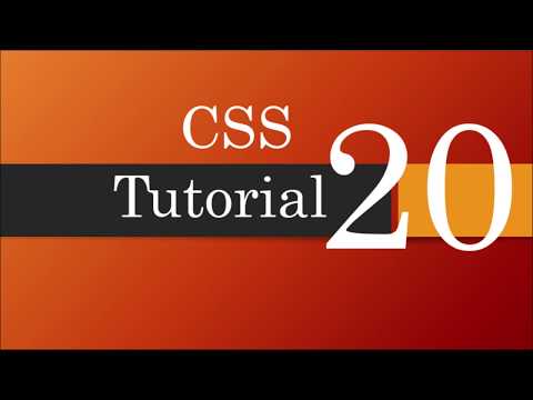 CSS Tutorial for Beginners -  20   CSS Box Model