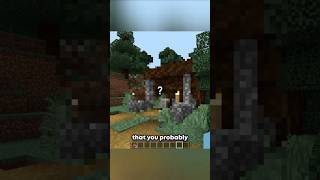 "Ever seen Armor Stands in a Village? #shorts