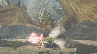 『MH:wilds』PS5　闘技大会02　リオレイア　スラアク　02'10''17
