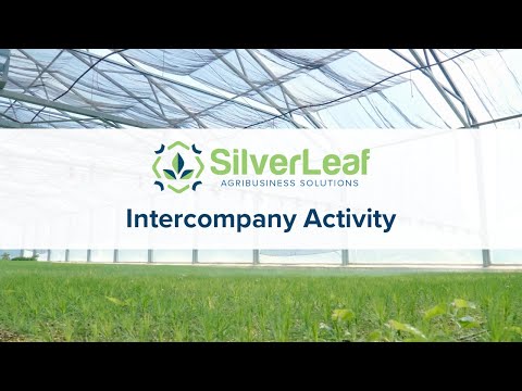Mastering Cannabis Operations: Five Steps to Financial Success - Intercompany Activity