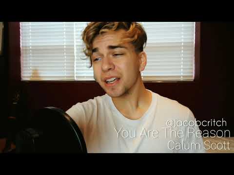 You Are The Reason - Calum Scott (Jacob Critch Cover)