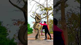This tree has a strange shape. Magical tree. Shaped tree. Funny.