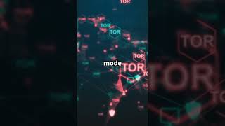 Phone Privacy Tips Day 12: Switch to Privacy Focused Browsers Now!  #cybersecurity