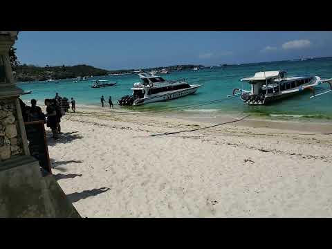 Heavy Luggage Gets On Boat to Sanur