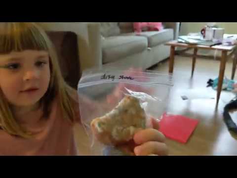 Biology Through Induction for Montessori: Lesson 3 - Follow-up