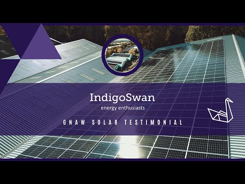 Indigo Swan / Gnaw - Solar Testimonial