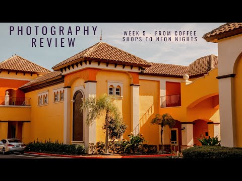 Capturing Moments: From Coffee Shops to Neon Nights | My Weekly Photo Favorites
