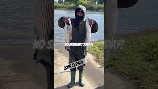 Keepers!!! #fishing #bassfishing #fishingvideo #foryou #forfun #stripedbass #lovefishing #fishingfun