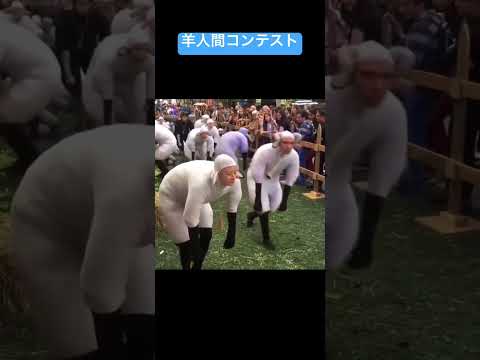 羊人間コンテスト #shorts #羊 #おすすめ