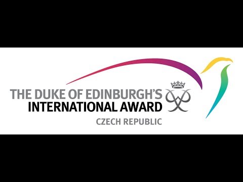 DofE | Global International Business Internship Experience | Chen Si