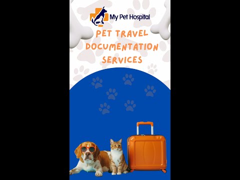 Pet Travel Consultation Services - My Pet Hospital