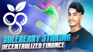Buleberrystaking - a multi-service decentralized wallet that is one of the BlueBerry Walt projects