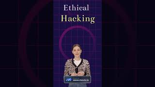 Web Technology Basics? || Ethical Hacking for Beginners || Cyber Security for Beginners