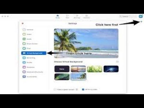 How can you apply VIRTUAL BACKGROUND or VIDEO FILTERS in Zoom Metting