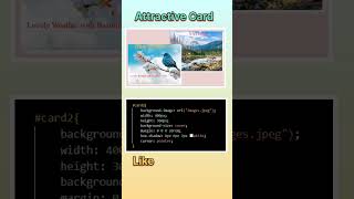 Attractive Card Using CSS #shortsvideo #short #webdevelopment