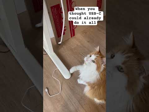 Just when you thought USB-C could already do it all! #usb #usbcable #catlover #catlove #funnycats