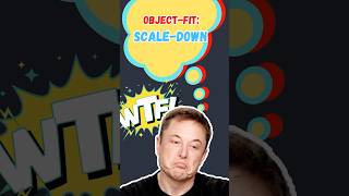 CSS Basics: scale-down #css #javascript #js #learning #course #shorts #html #coding #tutorial