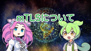 【ずんだもん解説】mTLSについて