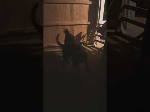 What are they doing?