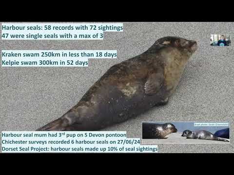 2025 SWME conference - Seal observations for 2024