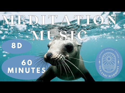Seal Meditation | 8D Ocean Soundscape for Deep Relaxation & Healing Energy 🦭🎧