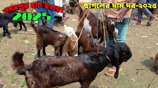 ছাগলের দাম দর -২০২৫||Goat Price bd-2025||ওমরপুর হাট বগুড়া||Omar pur hat  Hat Bogura||