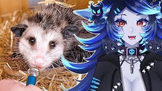 I INTERVIEW ANIMALS WITH A TINY MIC | Spite Reacts to Maya