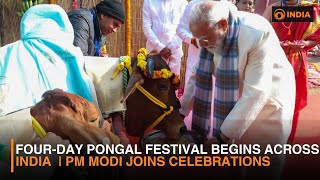 Four-Day Pongal Festival Begins Across India | PM Modi Joins Celebrations