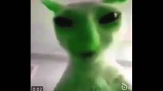 Purrfectly cozy cat content—cute moments, funny antics, and wholesome vibes for every cat lover. New