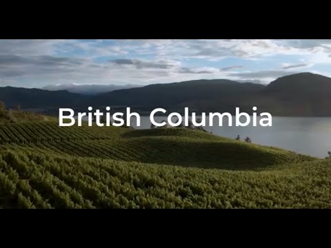 Digital Marketing, Web Development, Web Design , and Mobile App Development in British Columbia