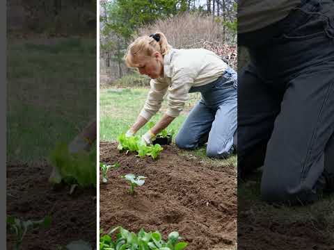 Women Empowerment 👧🏦 #trending