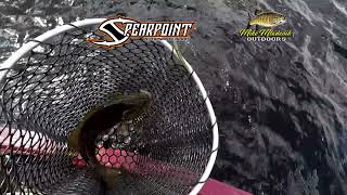 spearpoint hooks and the wacky worm