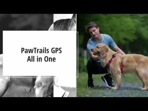 Cantrack Pet Tracking Solution
