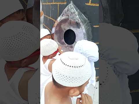 Manasik haji hajar Aswad #manasikhajianak #shorts