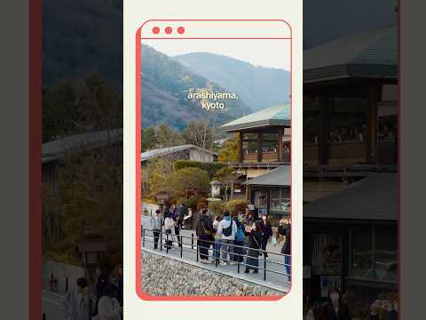 a popular day tour from osaka and kyoto #japan #osaka #kyoto #travel #japantravel