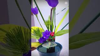 【插花】日本池坊華道-立花新風體 #ikebana #ikenobo #いけばな #お稽古 #池坊 #華道 #art #flower