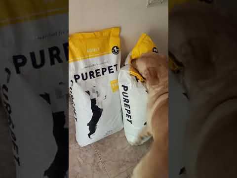 That Excitement Level My Dog Shows When Amazon Delivers His Food 😄😄