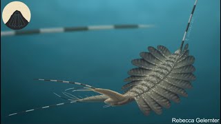 The Ancient Creatures that Shaped all Animals with an Exoskeleton