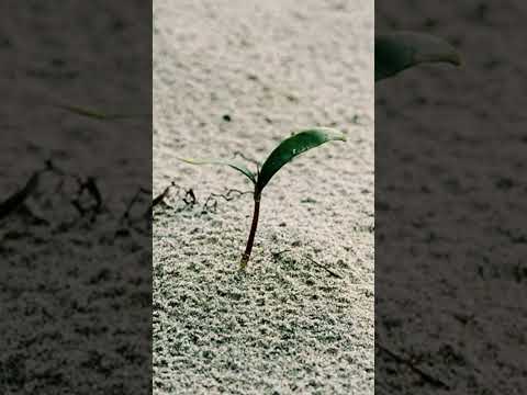 Lomography Metropolis On Film #35mmfilm #filmphotography #lomography