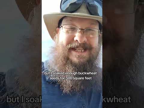 I soaked too many seeds! #growsomefood #garden #plants #gardening