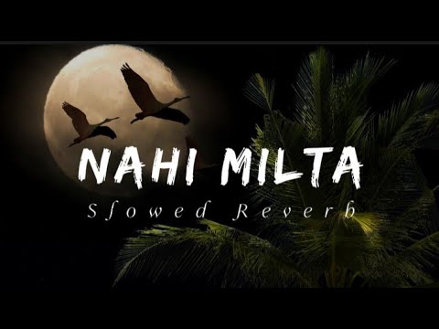 Nahin Milta - Bayaan (Slowed Reverb) | Music Vibes